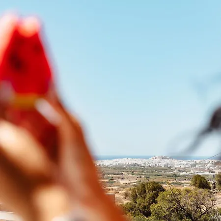 Naxos Elysian * Galanado